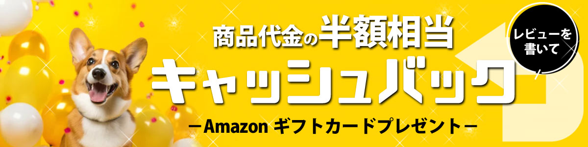 レビューを書いて半額相当キャッシュバック
