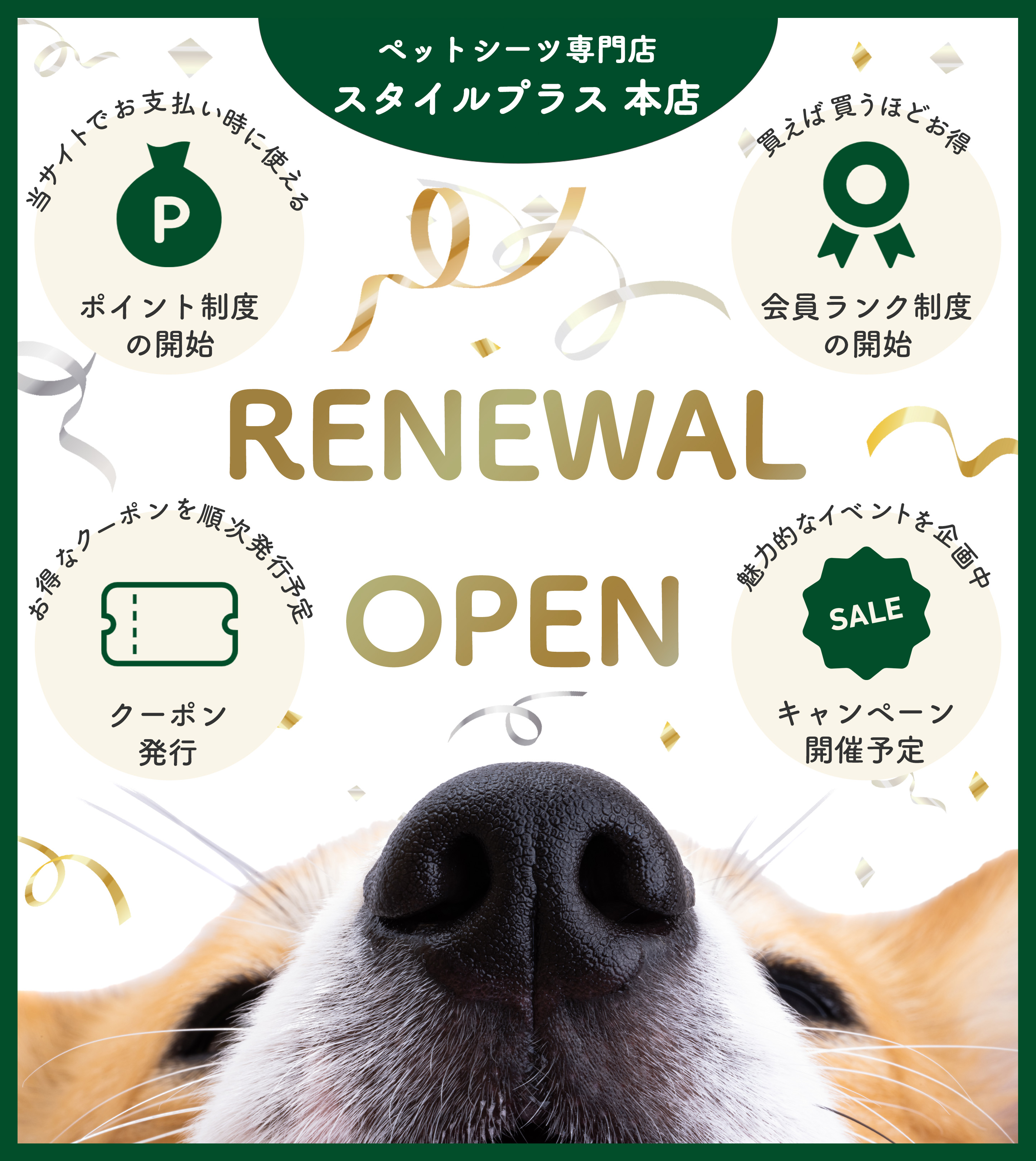 サイトリニューアル