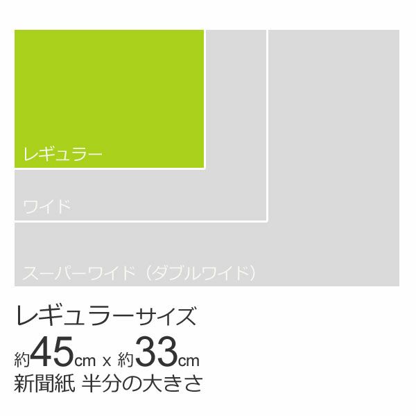 超薄型ペットシーツ レギュラー 1200枚（300枚入×4袋）