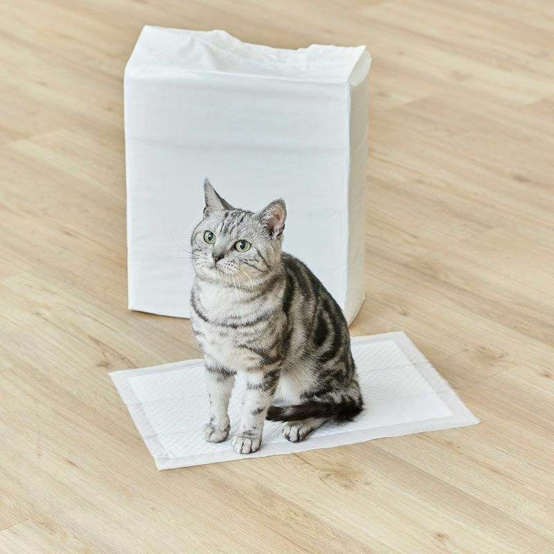 ねこシステムトイレ用シーツ 猫用 800枚（200枚入×4袋）