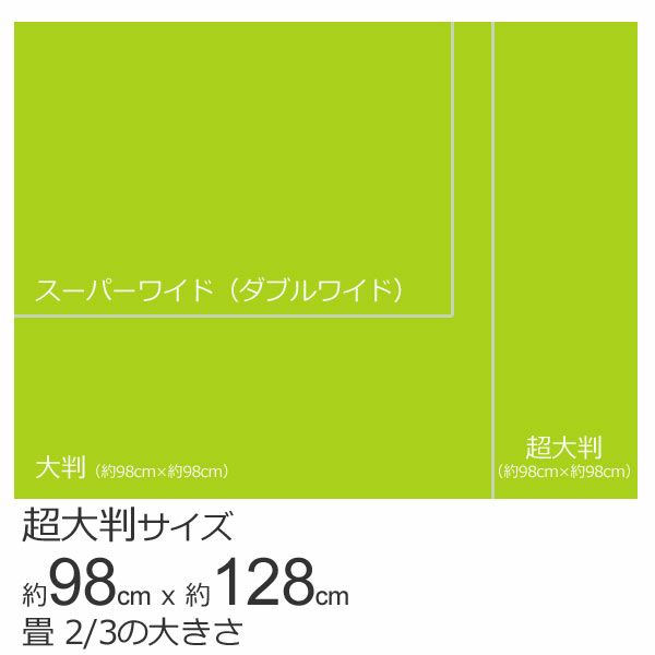 超薄型ペットシーツ 超大判タイプ 64枚（16枚入×4袋）（ビッグサイズ）