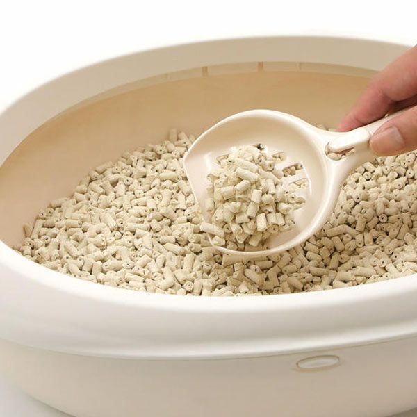 国産　コーチョー　ネオ砂　クイック